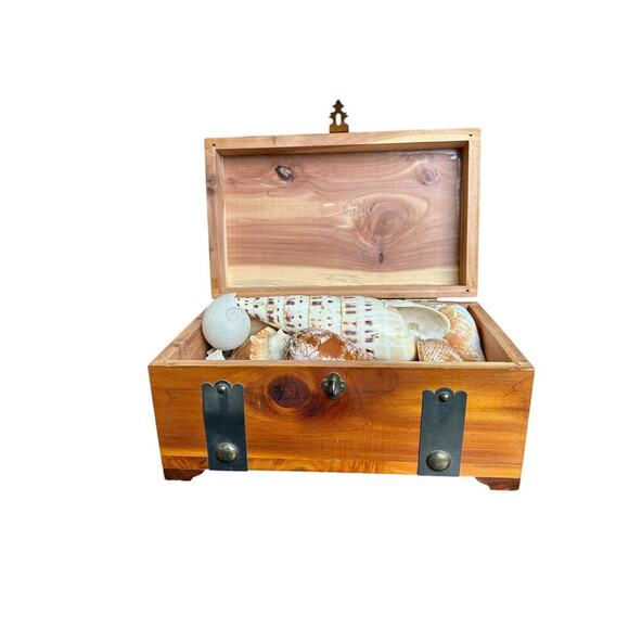 Vintage G. Merz & Son Chicago Wooden Box Treasure Box Full Of Seashells Jewelry - Picture 3 of 13